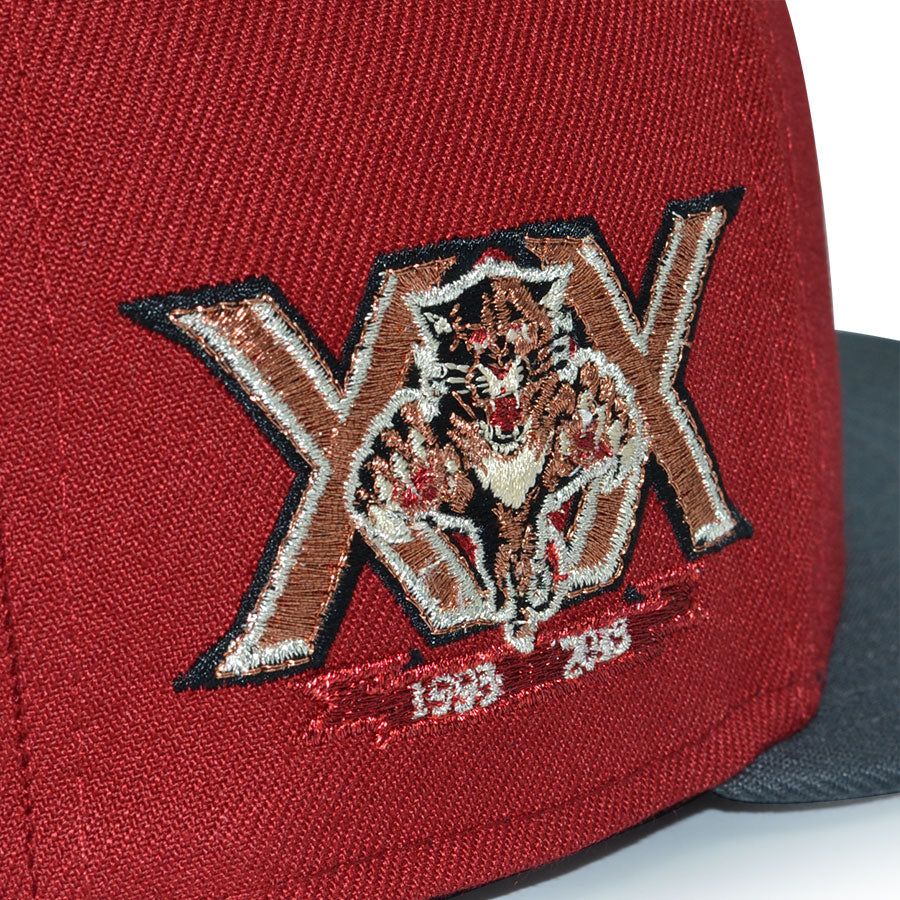 Florida Panthers "BEAST OF FIRE" Exclusive New Era 59Fifty Fitted Hat - H-Red/Dark Graphite