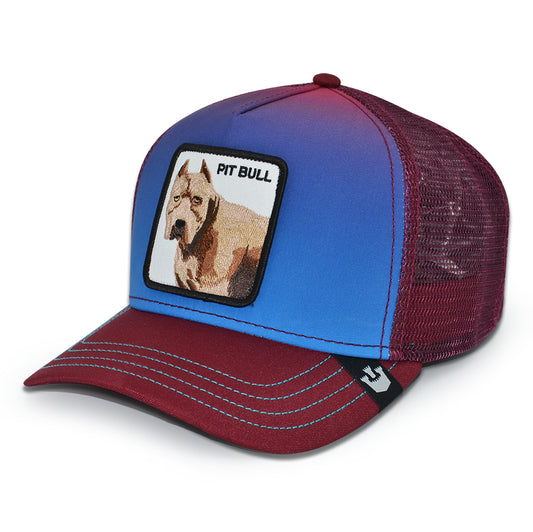THE FULL PIT BULL Goorin Bros Mesh Trucker Snapback Hat - Blue Fade/Maroon