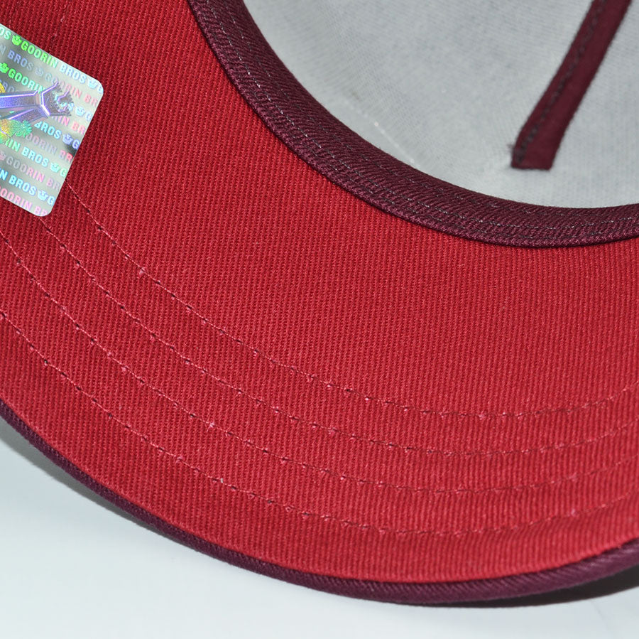 THE PANTHERS STRIKE Goorin Bros Mesh Trucker Snapback Hat - Maroon