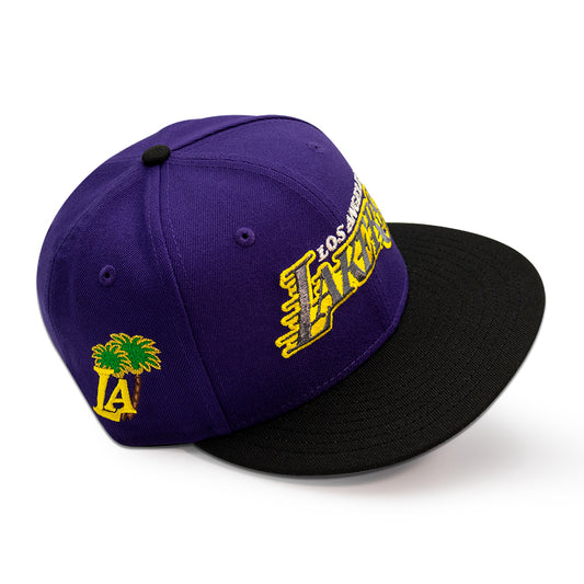Los Angeles Lakers "LALA LAND" Exclusive New Era 59Fifty Fitted Hat -Purple/Black
