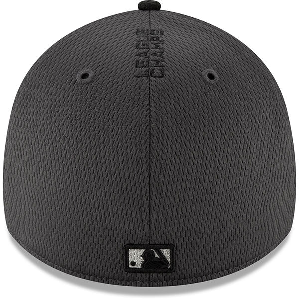 Washington Nationals New Era 2019 MLB National League Champions LOCKER ROOM FLEX-FIT 39Thirty Hat - OSFM