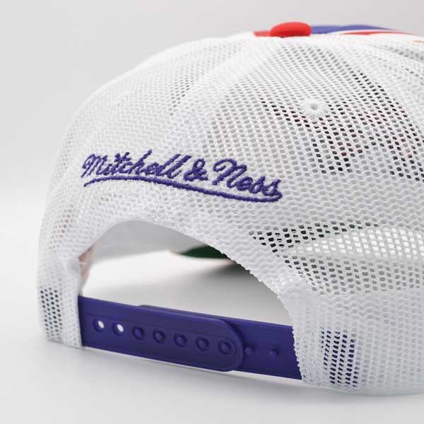 Toronto Raptors Mitchell & Ness RETRO TRUCKER Snapback Hat - Purple/Red