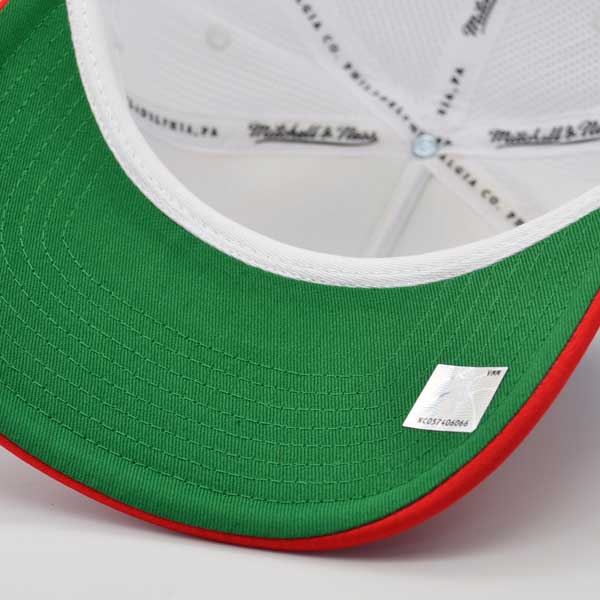 Toronto Raptors Mitchell & Ness RETRO TRUCKER Snapback Hat - Purple/Red