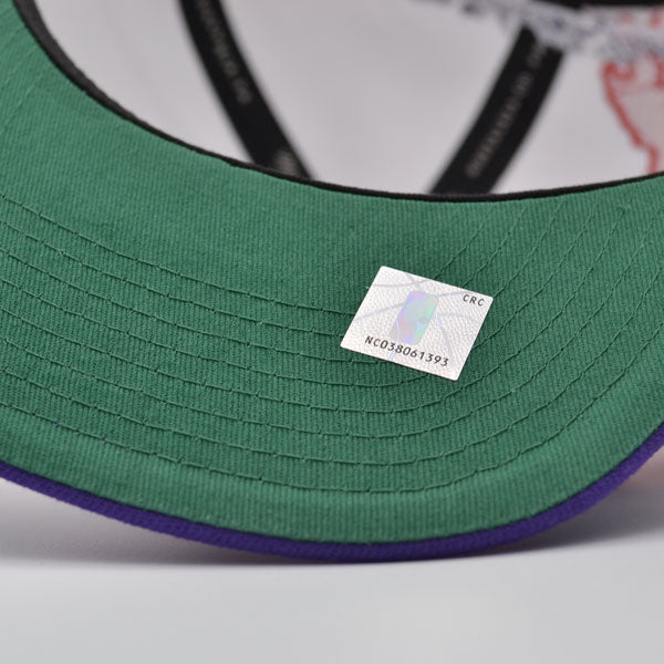 Toronto Raptors NBA Mitchell & Ness PAINTBRUSH Snapback Hat - Purple/Red