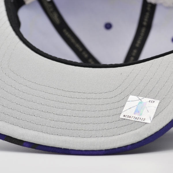 Toronto Raptors Mitchell & Ness DOWN FOR ALL Snapback Hat - Purple/Black