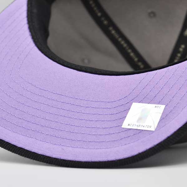 Phoenix Suns NBA Mitchell & Ness NEON LIGHTS Snapback Hat - Gray/Black/Purple