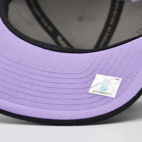 Milwaukee Bucks NBA Mitchell & Ness NEON LIGHTS Snapback Hat - Gray/Black/Purple