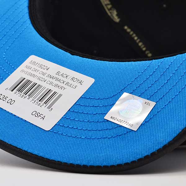 Chicago Bulls Air Jordan DAY ONE Snapback Mitchell & Ness NBA Hat - Black/Royal