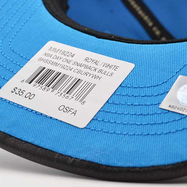 Chicago Bulls Air Jordan DAY ONE Snapback Mitchell & Ness NBA Hat - Royal/White