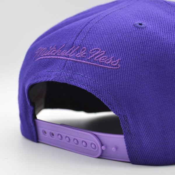 Los Angeles Lakers Mitchell & Ness NBA PURPLE HAZE Snapback Hat - Purple/Green