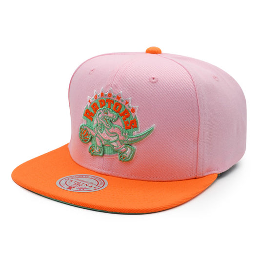 Toronto Raptors Mitchell & Ness SWEET SHERBERT Snapback NBA Hat - Pink/Orange/Lime