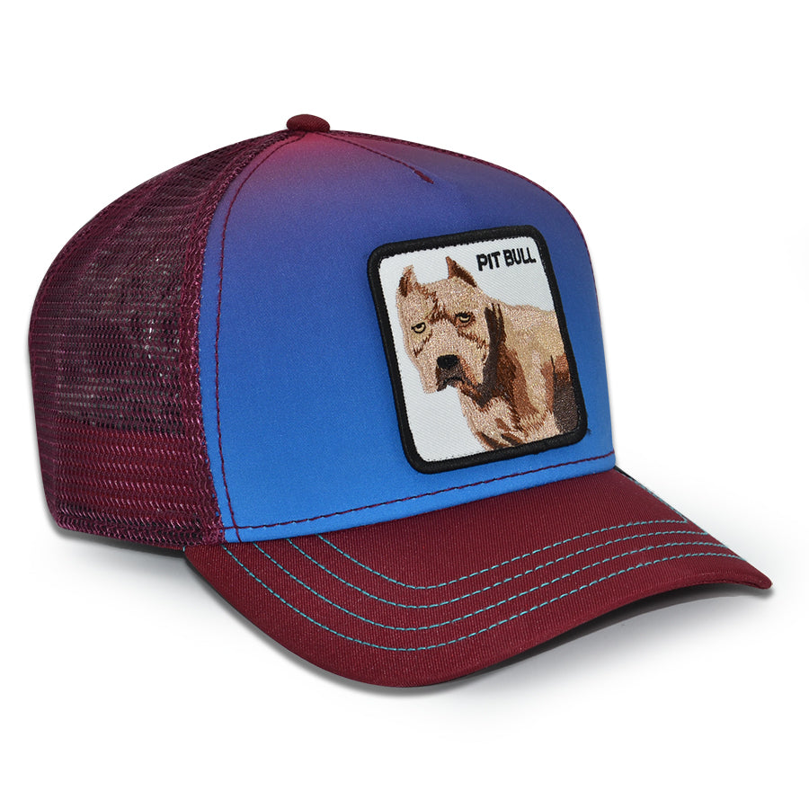 THE FULL PIT BULL Goorin Bros Mesh Trucker Snapback Hat - Blue Fade/Maroon