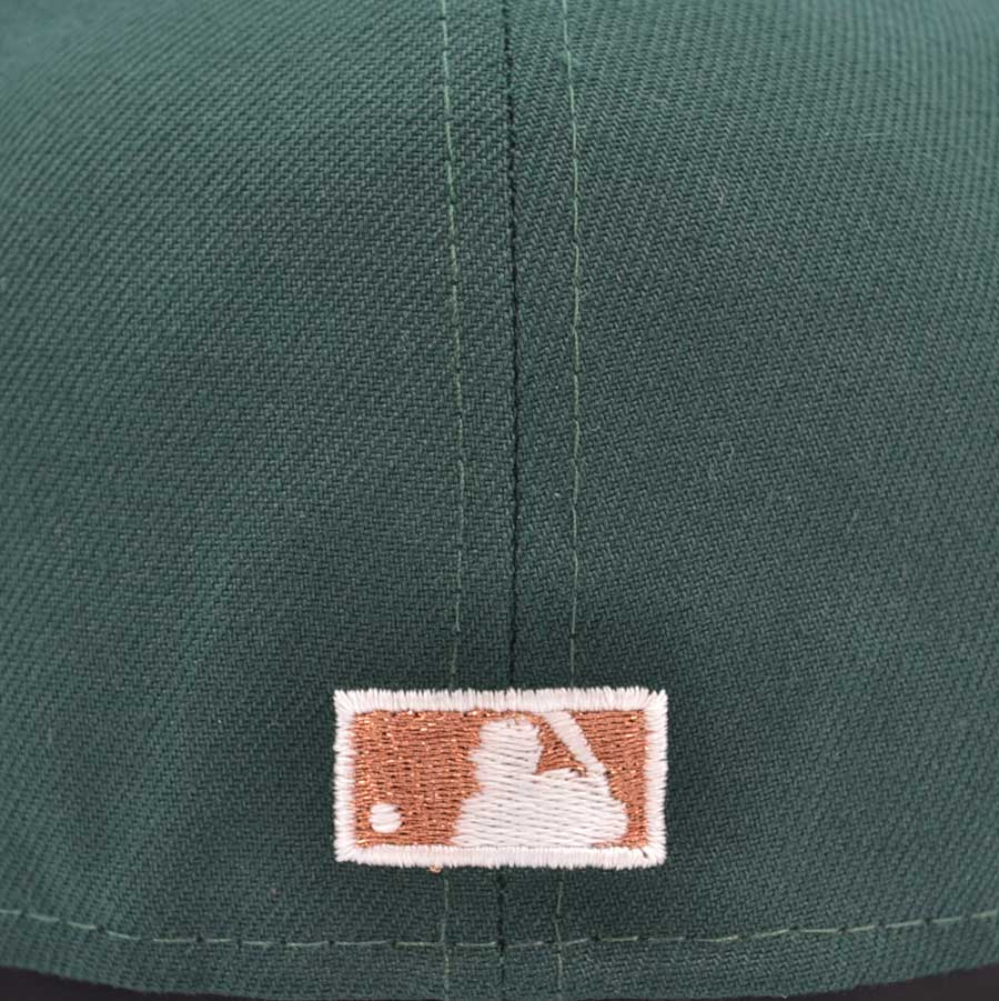 Houston Astros "EVERGREEN" Exclusive New Era 59Fifty Fitted Hat - Dark Green/Black