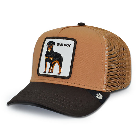 BAD BOY DAWG Goorin Bros Mesh Trucker Snapback Hat -Heat/Ground