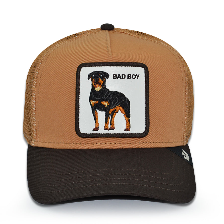 BAD BOY DAWG Goorin Bros Mesh Trucker Snapback Hat -Heat/Ground