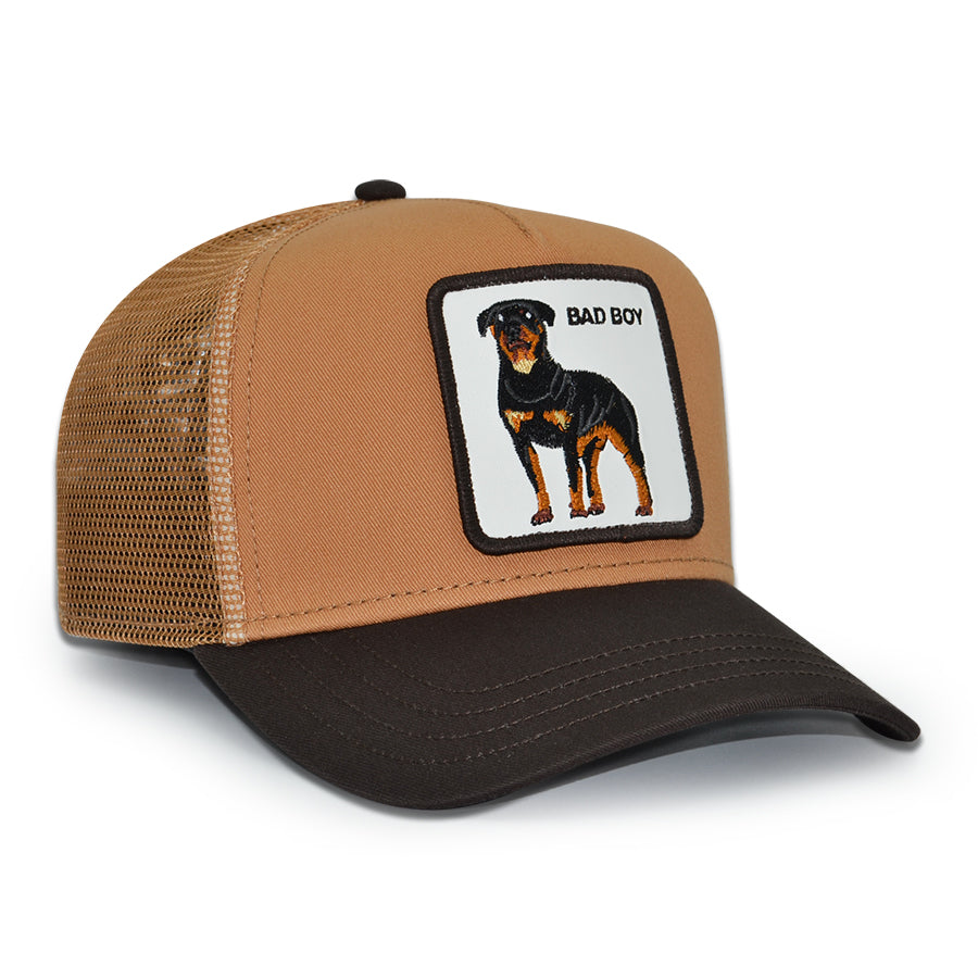 BAD BOY DAWG Goorin Bros Mesh Trucker Snapback Hat -Heat/Ground