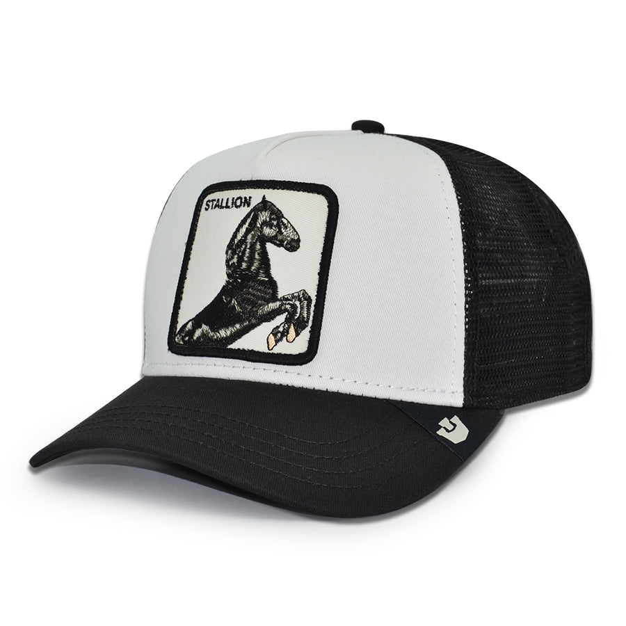 BLACK STALLION Goorin Bros Mesh Trucker Snapback Hat - Dust/Black