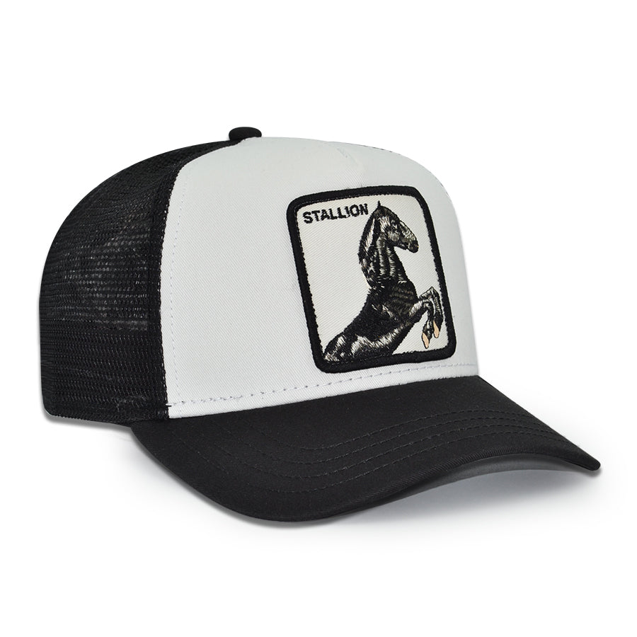 BLACK STALLION Goorin Bros Mesh Trucker Snapback Hat - Dust/Black