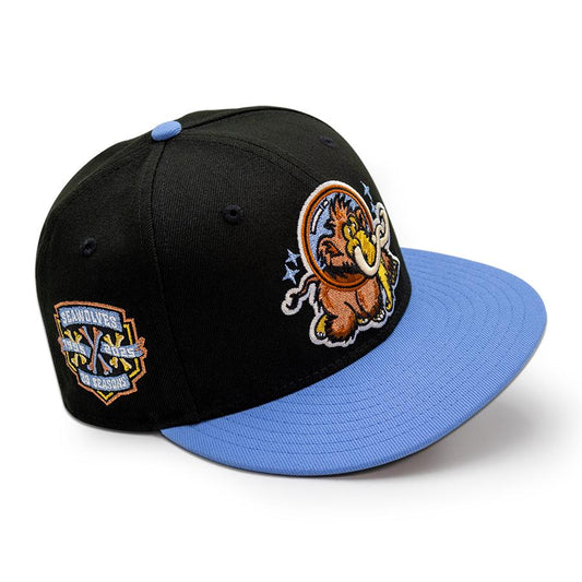 Erie Seawolves "ICED OUT" Exclusive New Era 59Fifty Fitted Hat - Black/Sky