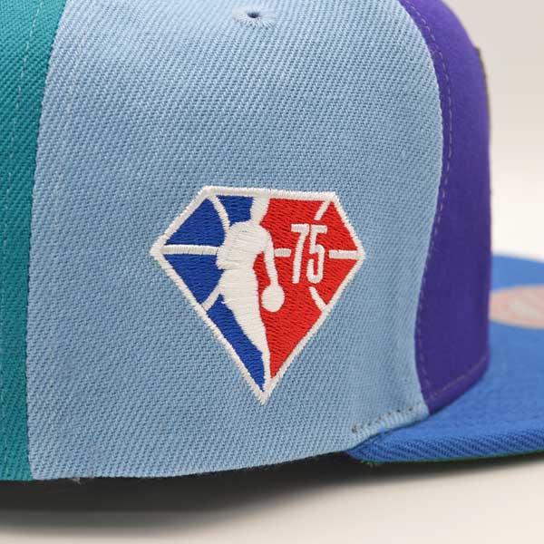 Charlotte Hornets Mitchell & Ness TEAM PINWHEEL Snapback NBA Hat - Purple/Teal/Sky