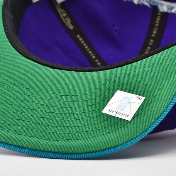 Charlotte Hornets NBA Mitchell & Ness SHARKTOOTH Snapback Hat - Purple/Teal