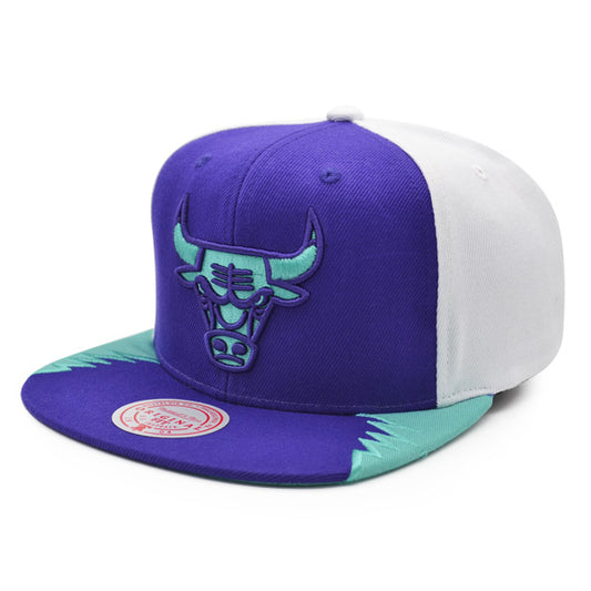 Chicago Bulls Exclusive Mitchell & Ness AIR JORDAN DAY 5 Snapback Hat - Purple/Teal