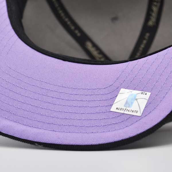 Toronto Raptors NBA Mitchell & Ness NEON LIGHTS Snapback Hat - Gray/Black/Purple