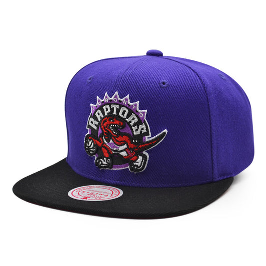 Toronto Raptors Mitchell & Ness CLASSIC 2Tone Snapback Hat - Purple/Black