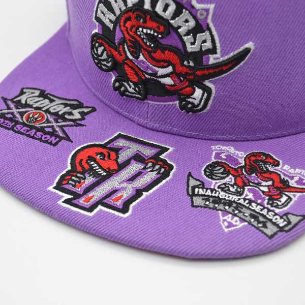 Toronto Raptors Mitchell & Ness NBA FRONT LOADED Snapback Hat- Purple