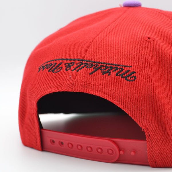 Toronto Raptors Mitchell & Ness NBA UPSIDE DOWN Snapback Hat - Red/Lavender