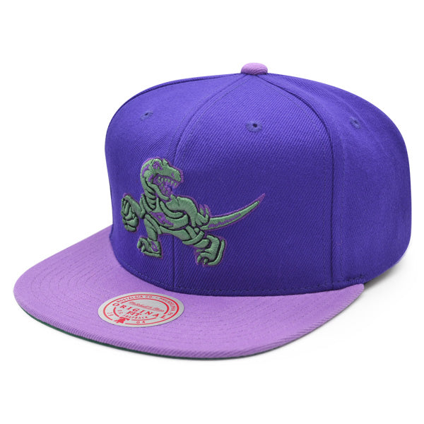 Toronto Raptors Mitchell & Ness NBA PURPLE HAZE Snapback Hat - Purple/Green