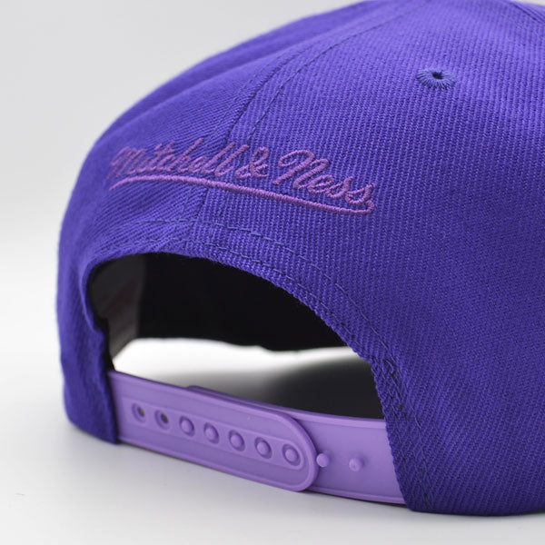 Toronto Raptors Mitchell & Ness NBA PURPLE HAZE Snapback Hat - Purple/Green