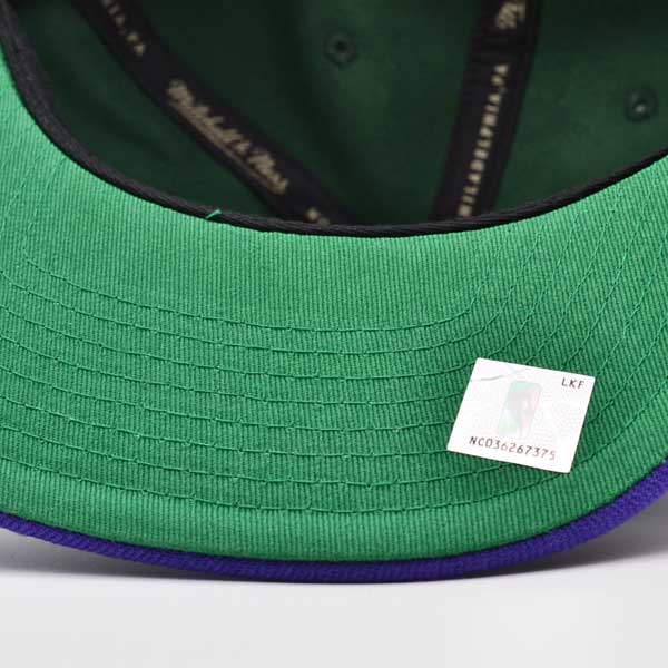 Milwaukee Bucks NBA Mitchell & Ness CLASSIC 2TONE Snapback Hat - Green/Purple