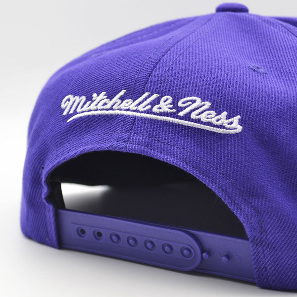 Charlotte Hornets Mitchell & Ness THE GRID Snapback NBA Hat - Purple/Teal