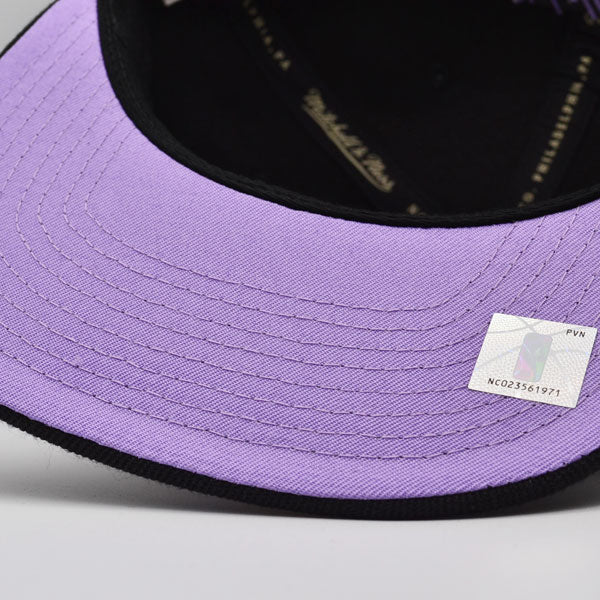 Charlotte Hornets Mitchell & Ness HIGH LIGHT Snapback NBA Hat - Black/Lavender